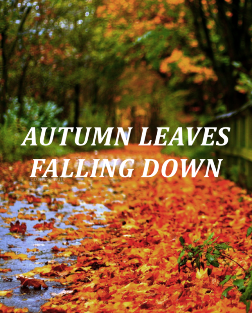 fall fall fall sunwoojunga lyrics fall fall fall sunwoojunga lyrics