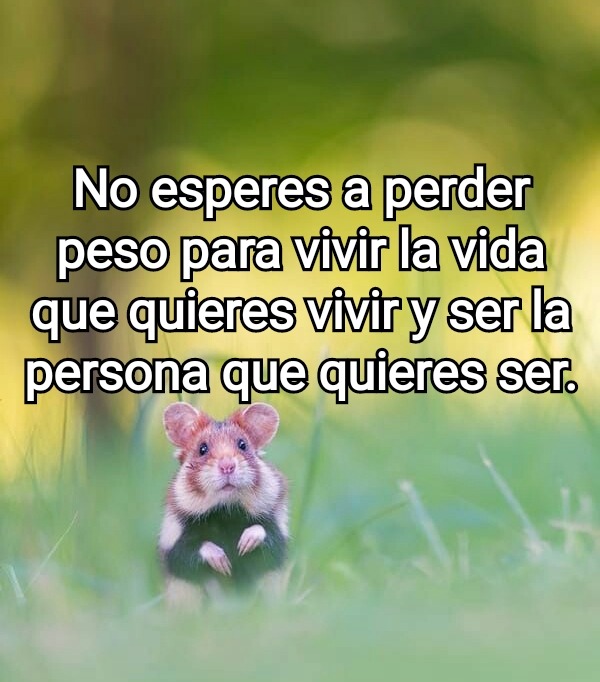 Frases positivas para adelgazar