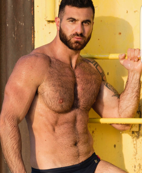 GAY BEAR FOR CHASERS