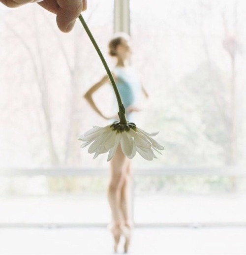 nature-and-culture:Elizabeth Murphy by ballerinasonpointes