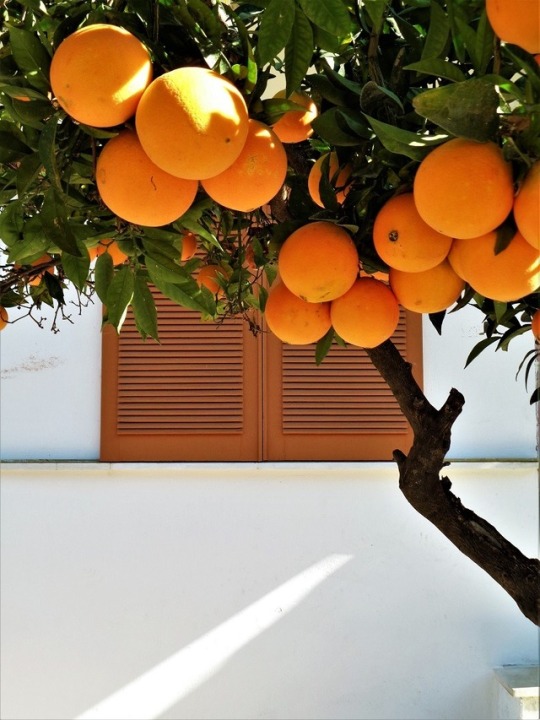https://goodescapes.com/blog/how-to-stay-healthy-on-vacation/Somewhere in Greece © Henri Coudoux
