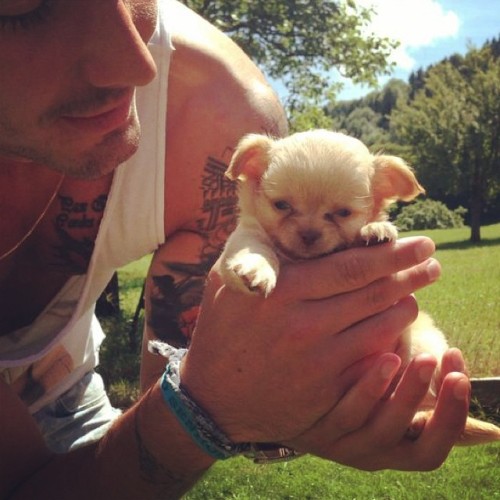 ok last one for now skfjsdf Roman Bürki and pup burki