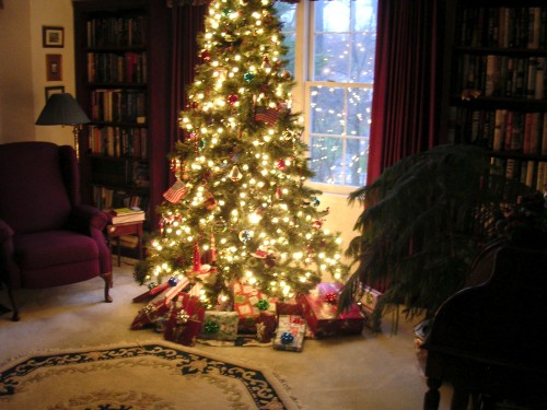 christmas winter christmas tree homey snuggly other stuff