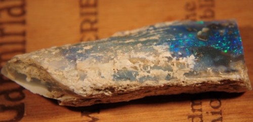 opalized bone