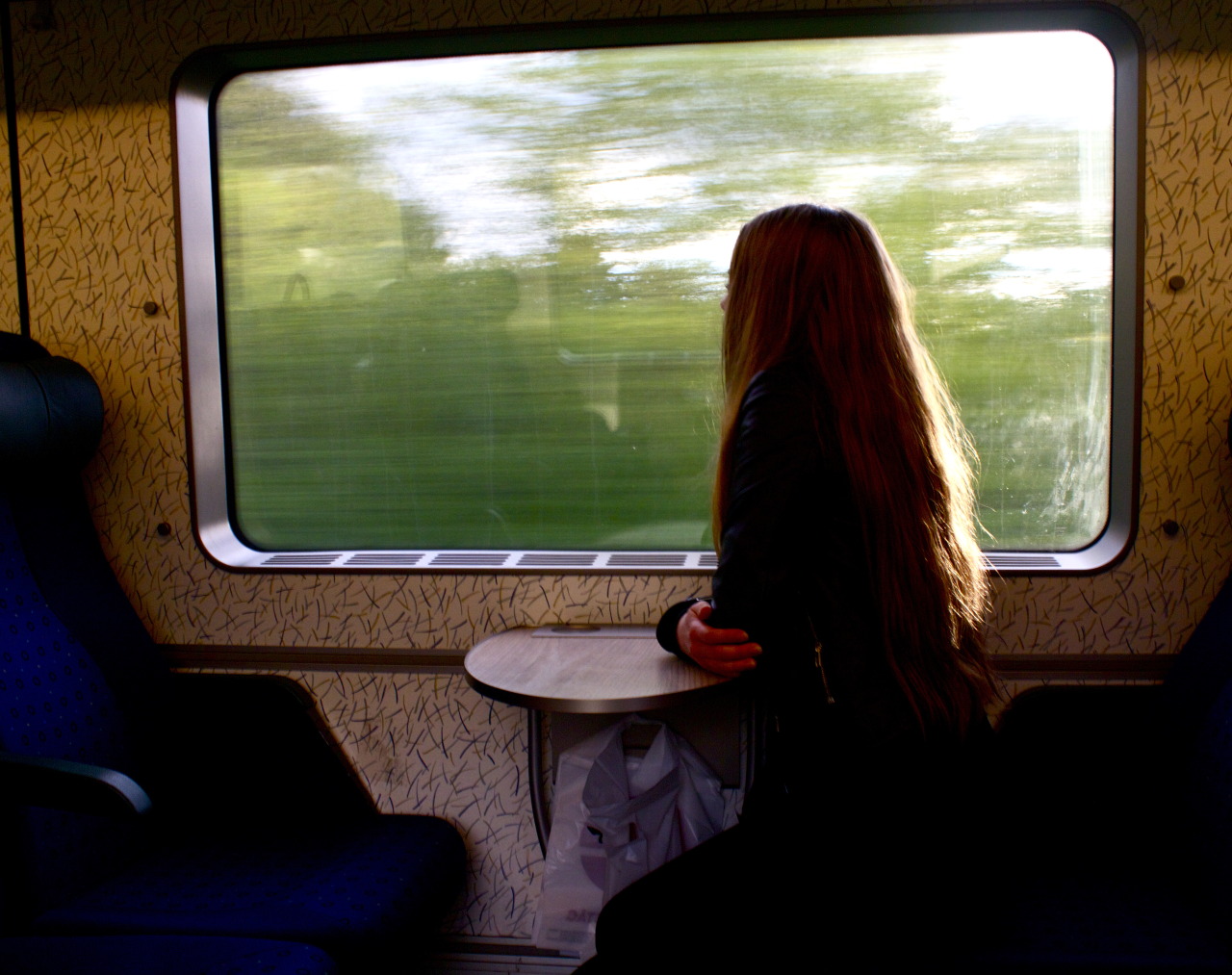 Девушка в поезде у окна