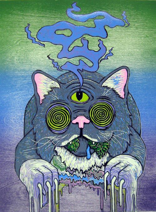 psychedelic cat on Tumblr