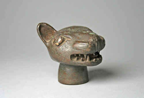 peashooter85:Incan bronze macehead in feline form, 15th-16th...