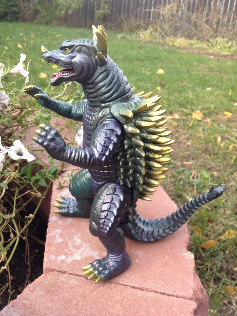 marmit anguirus