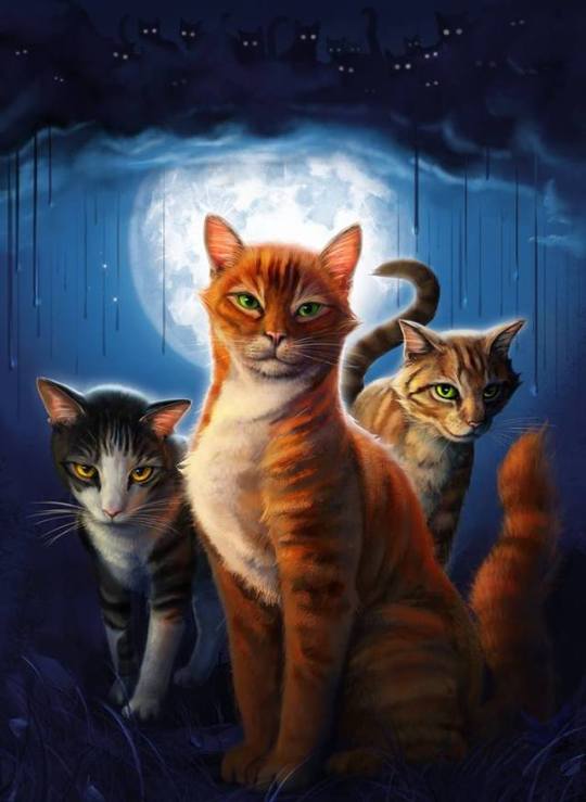 Which Are Your Favorite Foreign Covers Warrior Cats Forums