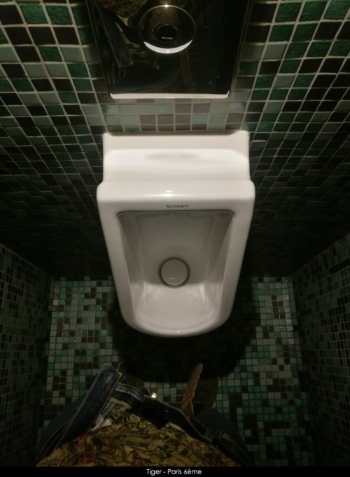 toiletseverywhere