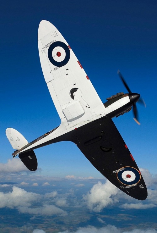 redarmyscreaming:Supermarine  Spitfire, Happy Birthday