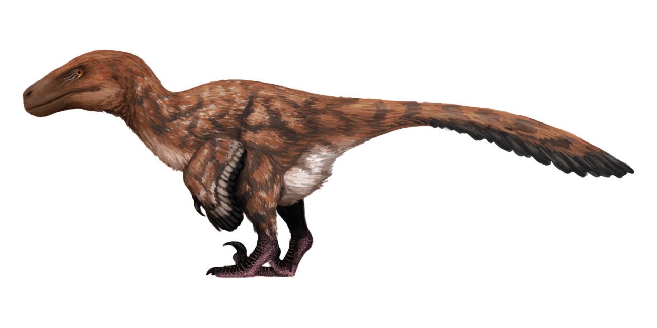 utahraptor dinosaur