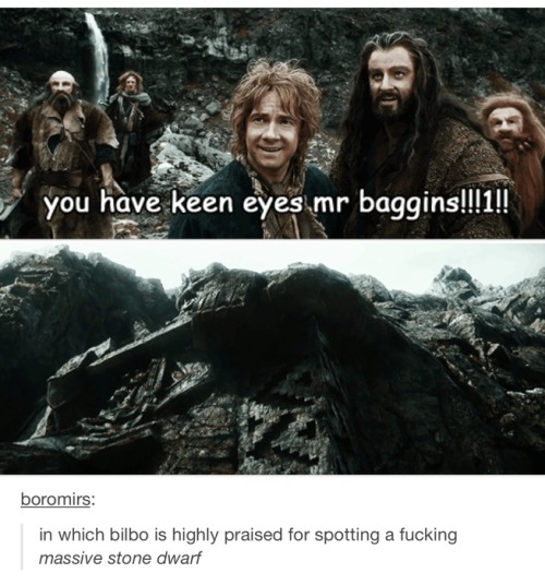 old-clint-barton-had-a-farm:Reasons to love the hobbit fandom...