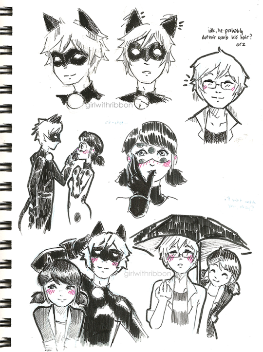 Miraculous Ladybug And Chat Noir Tumblr