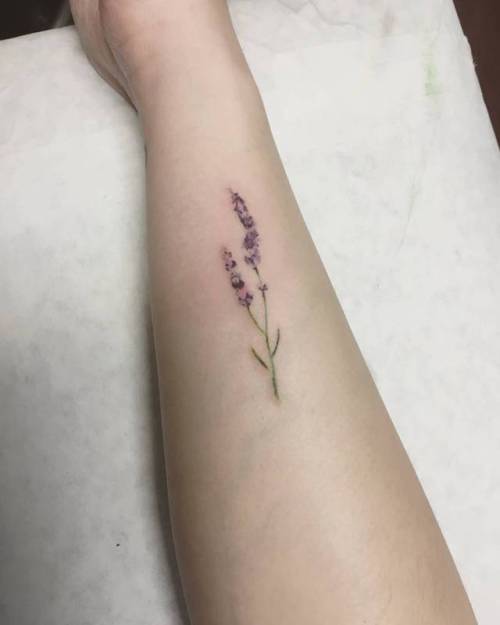 By Frank Ifa, done at IFA2 Tattoo Studio, Alhambra.... flower;small;watercolor;tiny;frankifa;lavender;ifttt;little;nature;forearm