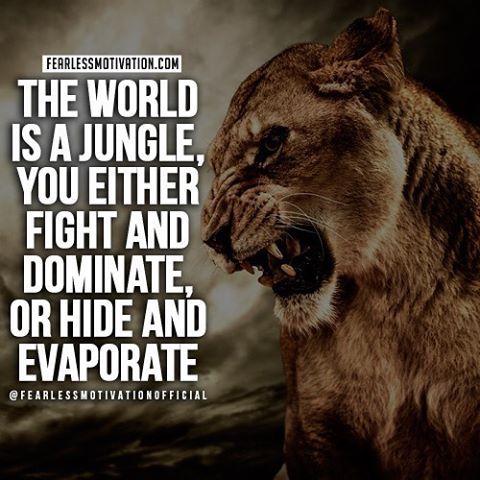 Fearless Motivation — The world is a jungle. You either fight and...
