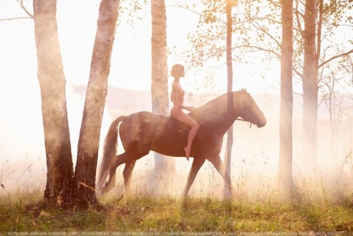 imickeyd:Morning in the countryside © Mikhail Semenov