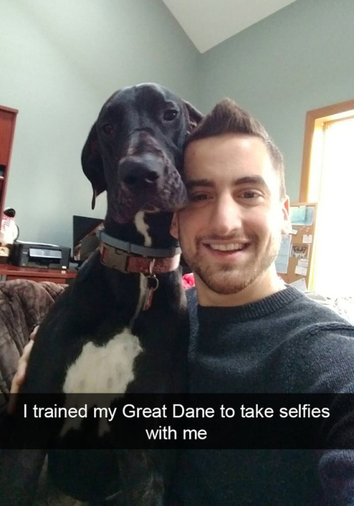 animalsnaps:Dog snaps