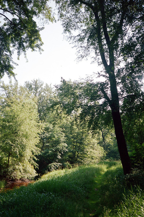 quinnmilfilm:Olympus Stylus/Portra 160