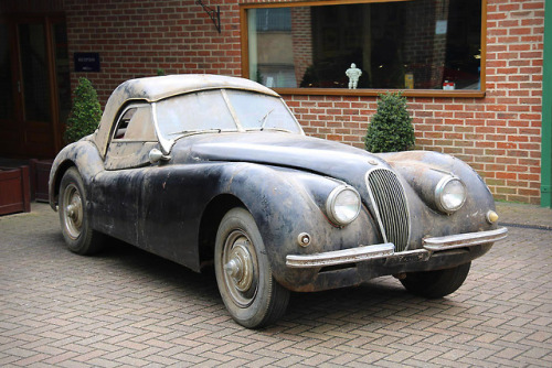 uncrate:1950 Jaguar XK120 Roadster