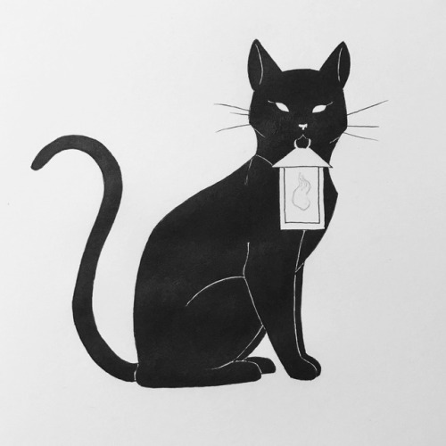 cat black cat lantern art my art ink inktober drawing