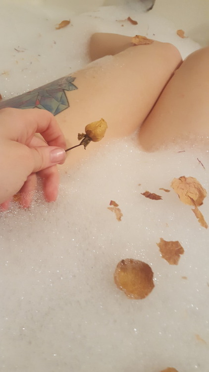 biomusiicology:I sat in the bath and threw rose petals at the...