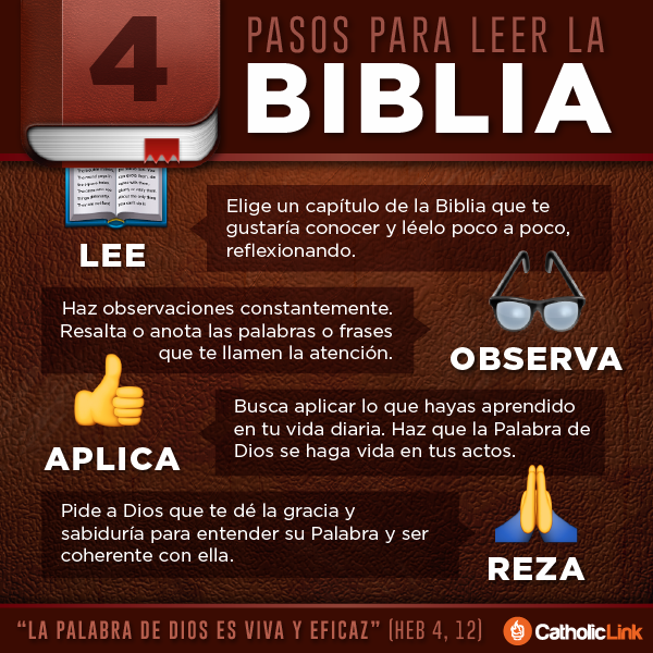 Biblioteca De Catholic Link Infografía 4 Pasos Para Leer La Biblia 4159