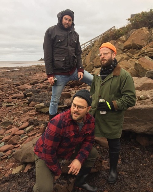 tidnish on the sunrise trail (at Upper Cape,...