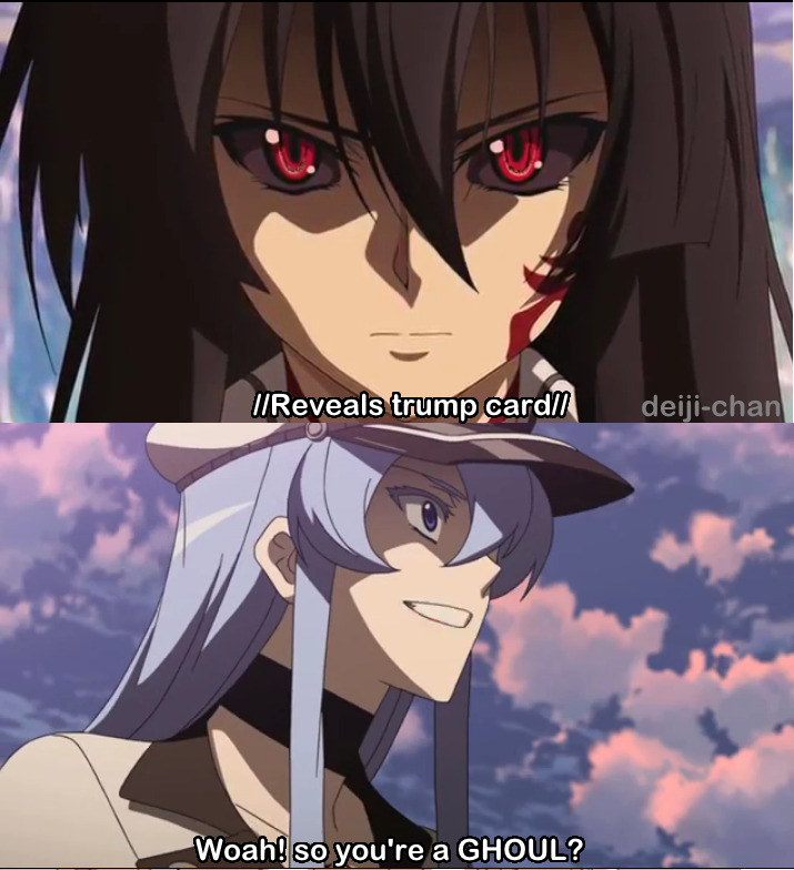 Akame Ga Kill X Tokyo Ghoul Blog