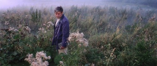 perfectshot perfect shot movie movie shot movie screencaps screencaps scene movie scene screen Andrei Tarkovsky Vadim Yusov Solaris soviet movie scifi
