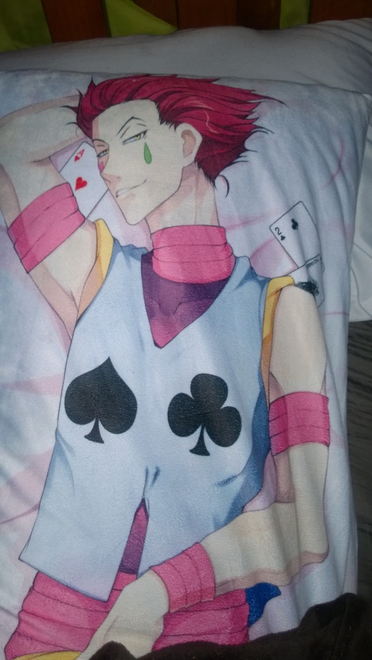 Random blog of randomness — So I got a Hisoka body pillow. It’s nice to...