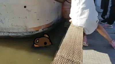 tumblr_oqmv65vFJh1vlb3moo1_400.gif