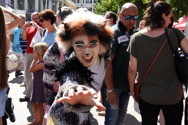 Dane is an actual cat, pass it on. He’s an actual