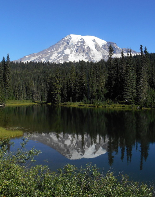 mountrainiernps:Landscape LanguageLentic (adj) – relating to...