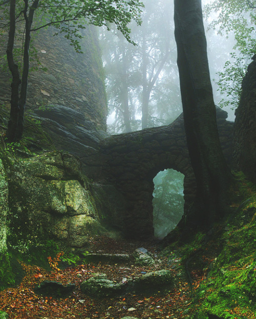 benrogerswpg:Forest Ruins, Karkonosze Mountains, Polandvia Ben...