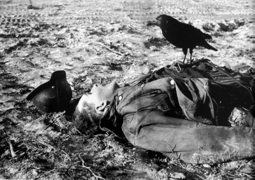 fieldofshit:demons:The body of a dead German in the East, c....