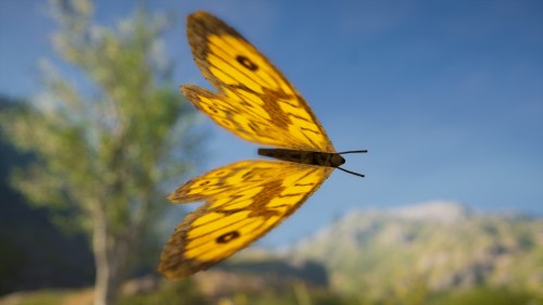 zwierzodudle