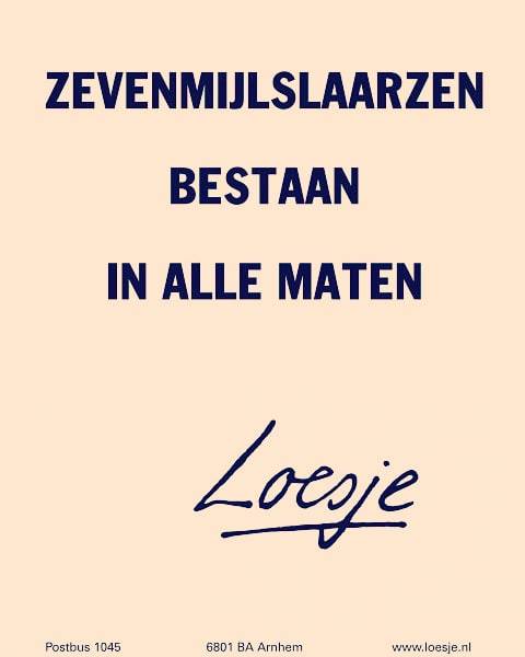 LOESJE POSTERS Je Moet Niet Alles Geloven Wat Je Denkt Loesje