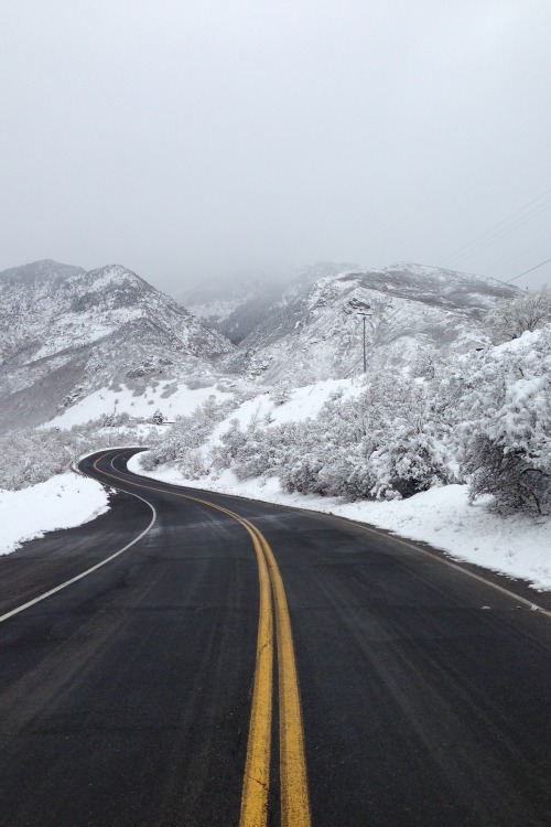 decepticun:The Road | by jordan.is