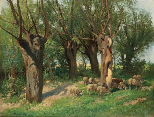 Carl Trägärdh (1861-1899) - Summerlandscape with sheep, oil on canvas, 62,5 x 81 cm.