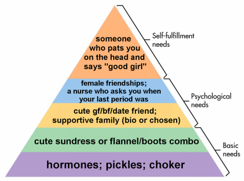 traaaaaaannnnnnnnnns:mtf hierarchy of needs v2.0Originally...