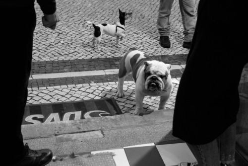 streetphotosgothenburg:Scenes of Lisbon,Portugal 2018