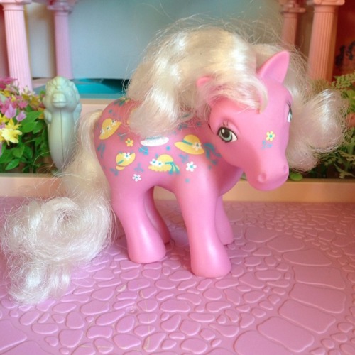the-ponies-i-ownies:Come back when you’re Twice As Fancy.