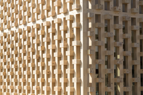 architorturedsouls:120x120 Forest / Kengo Kuma and...