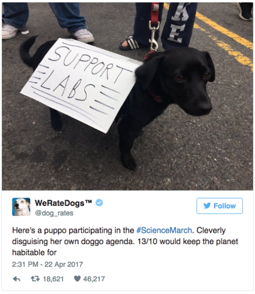 buzzfeed:The Science March had the best signs, period.