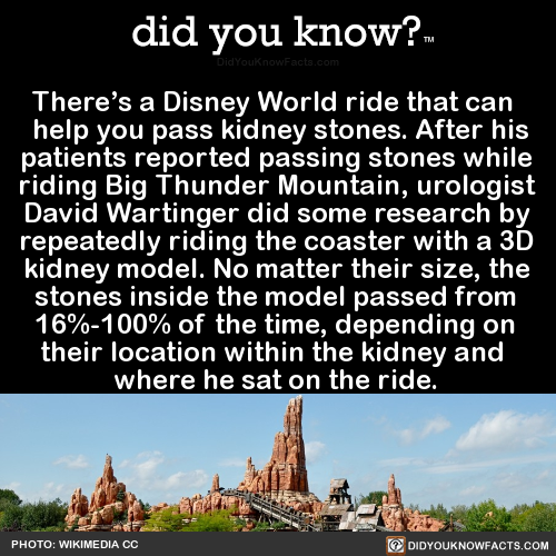 theres-a-disney-world-ride-that-can-help-you-pass