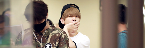 exolqicons