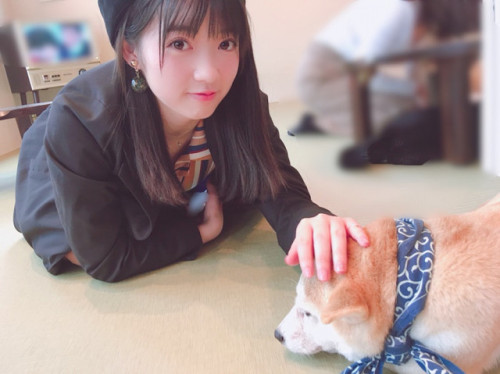 they-are-helloproject:“豆柴withりこ"山岸理子｜つばきファクトリー オフィシャルブログ...