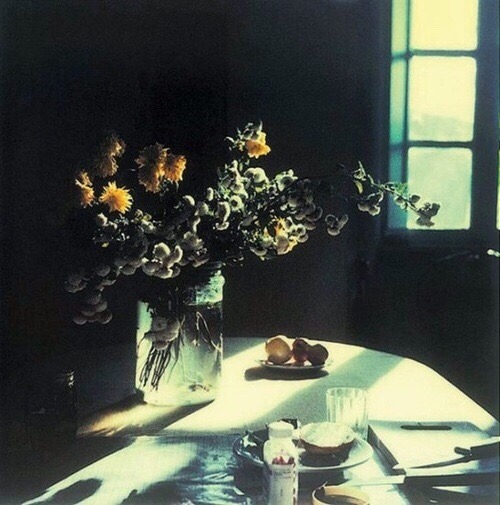 trulyvincent:Andrei Tarkovsky polaroids