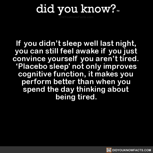 Did you sleep last night текст. I did Sleep well last Night.